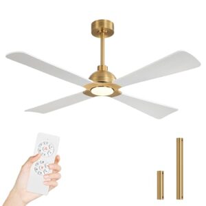 Modern 56-Inch DC Ceiling Fan with Lights and Remote Control
