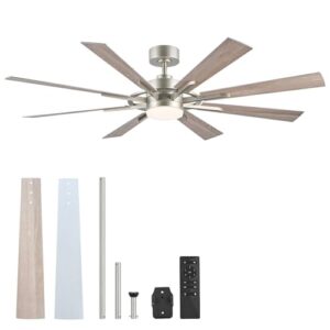 60-Inch Ceiling Fan with Lights and Remote Control - VONLUCE