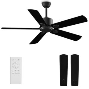 Biukis 52 Inch Black Ceiling Fan with Remote Control - 6 Speed Reversible DC Motor
