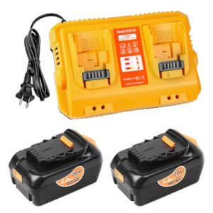 2 Pack 20V 5.0AH Replacement Batteries with DCB102 Charger