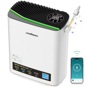 Large Room Air Purifier with True HEPA Filter - 1100ft² Coverage