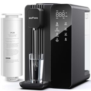 Ecoviva 7-Stage Reverse Osmosis Water Filter with UV and Heater