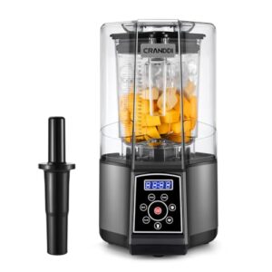 Smart Commercial Blender with Digital Touch Screen - 80oz Capacity