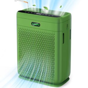 HEPA Air Purifier for Large Rooms - Double-Sided Filters & Aromatherapy Function