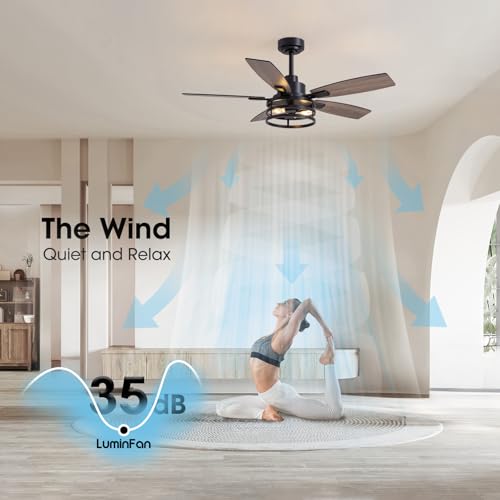 46-Inch Black Caged Ceiling Fan with Lights and Remote Control for Indoor and Outdoor Use - Image 3
