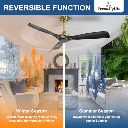 Modern Black and Gold 52 Inch Ceiling Fan with Remote Control - No Light - Image 2